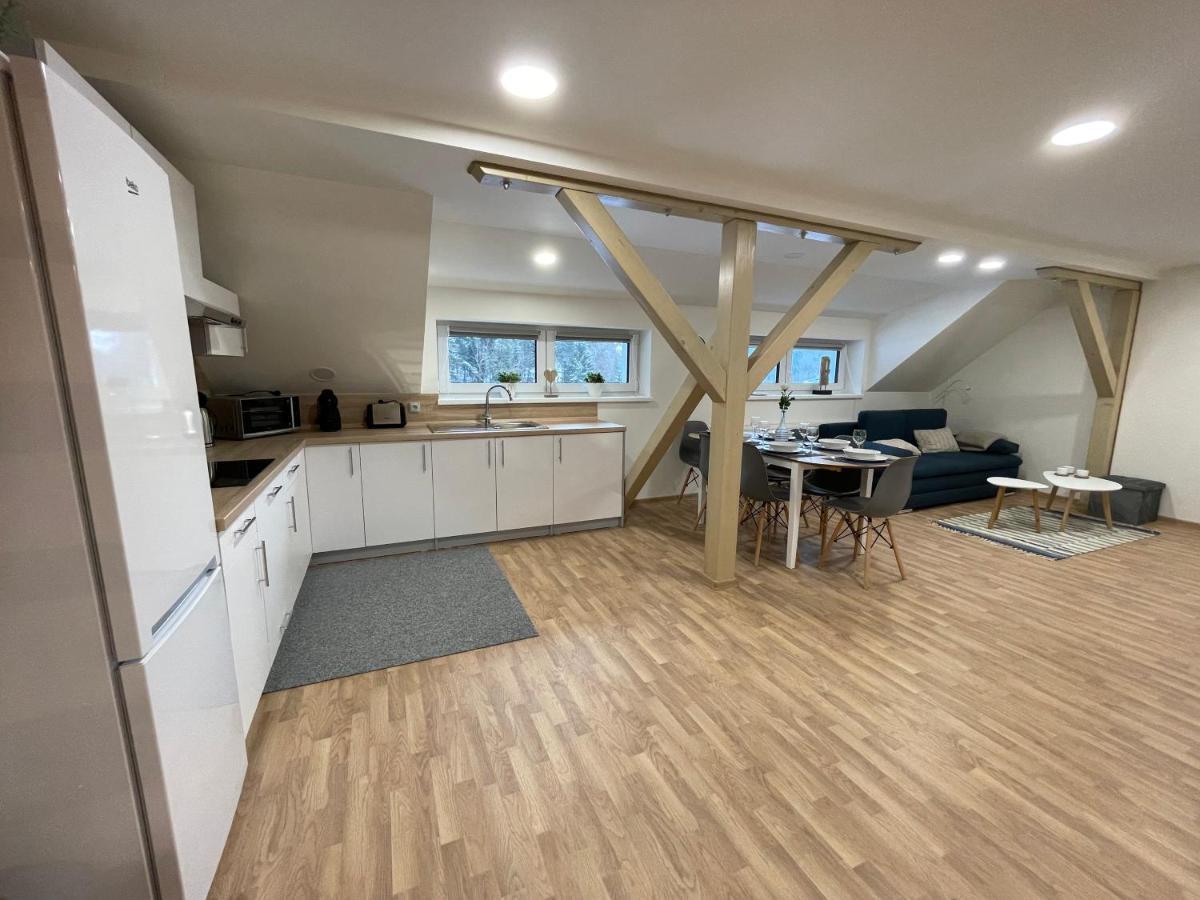 Apartmany Herc Jachymov Bagian luar foto