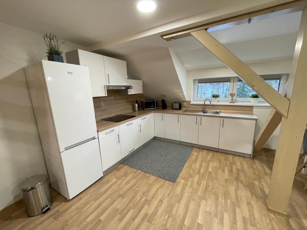 Apartmany Herc Jachymov Bagian luar foto