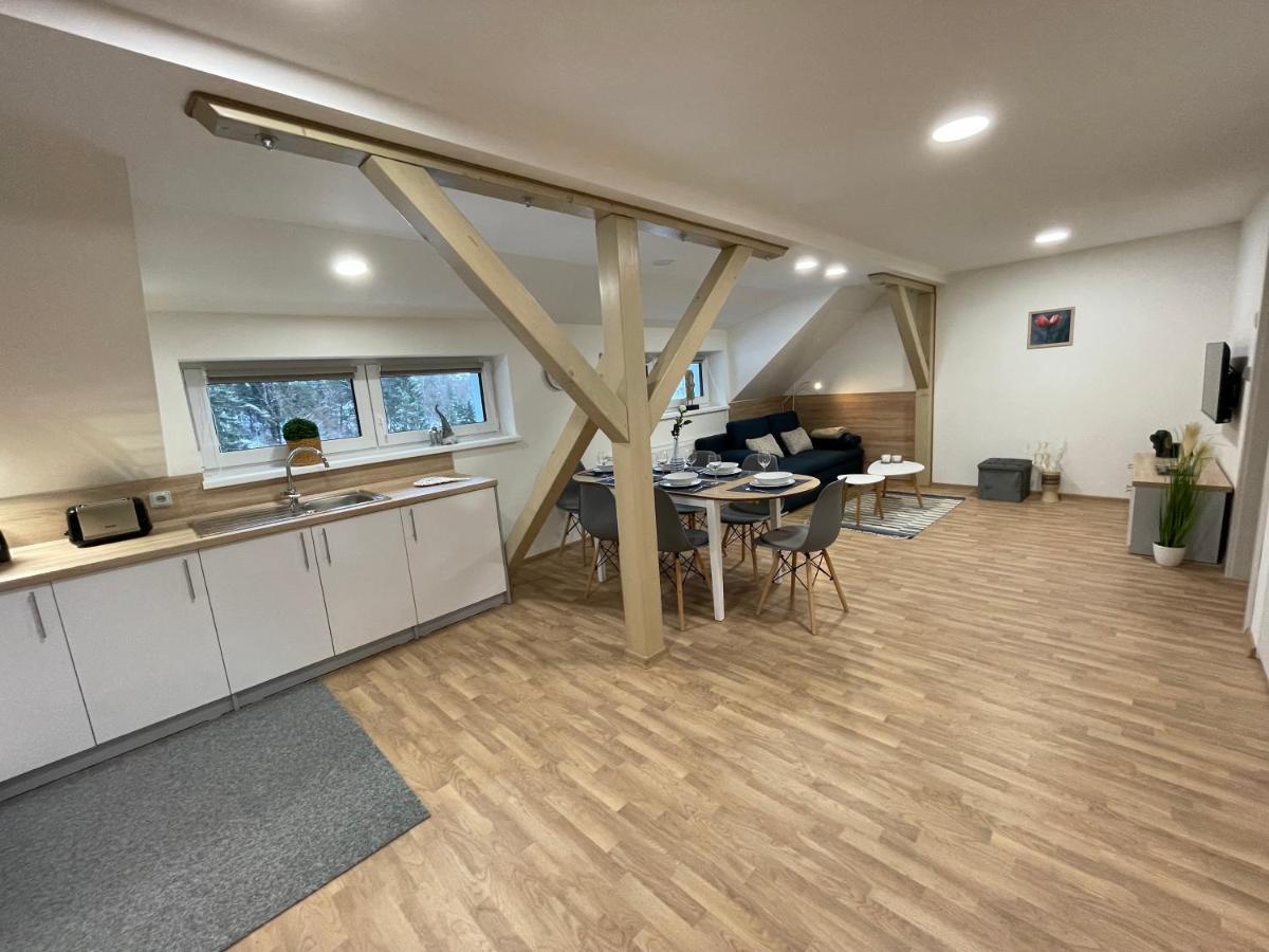Apartmany Herc Jachymov Bagian luar foto