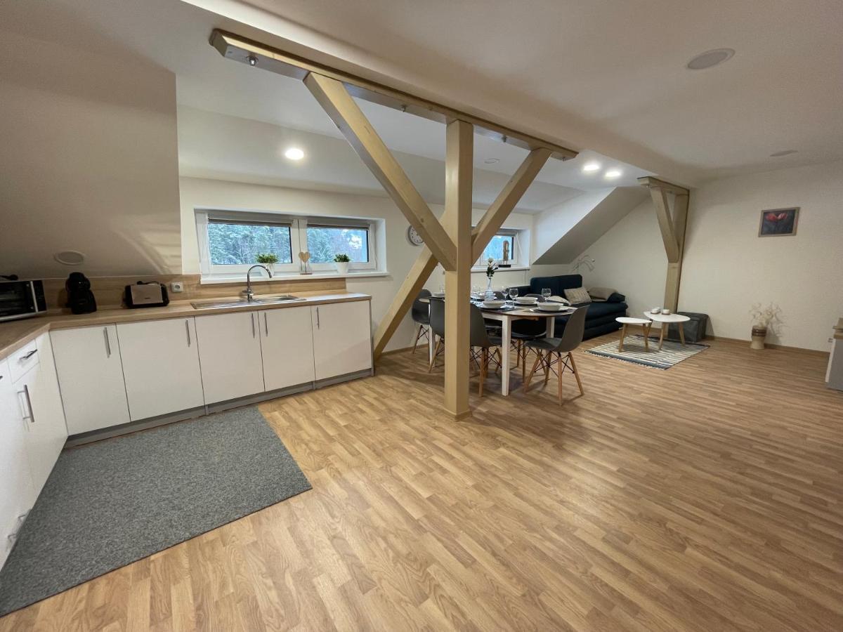 Apartmany Herc Jachymov Bagian luar foto