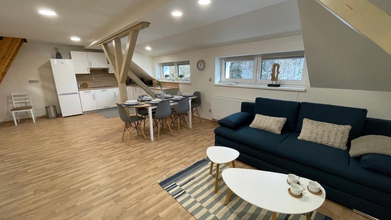 Apartmany Herc Jachymov Bagian luar foto