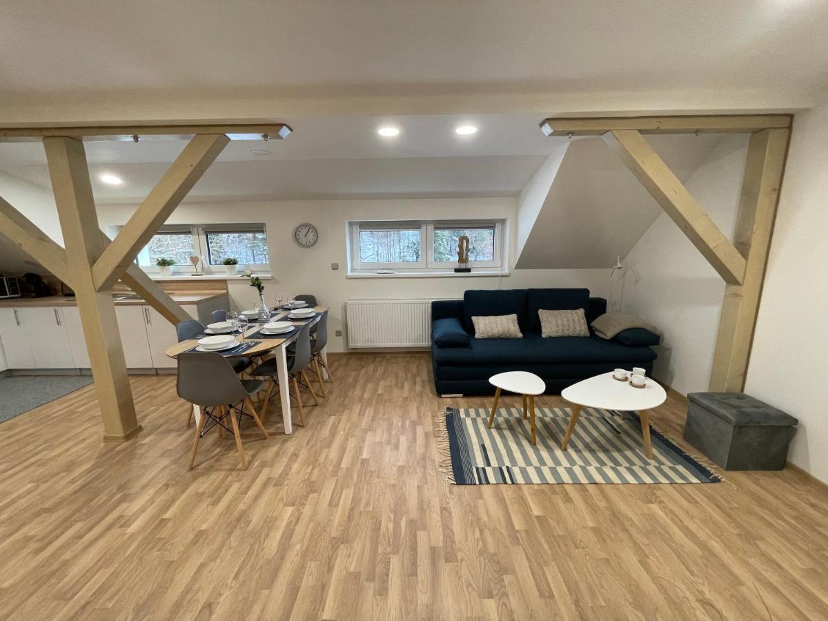 Apartmany Herc Jachymov Bagian luar foto
